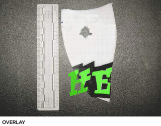Illustration for article titled ID This Partial Logo, Help Find A Hit And Run Suspect